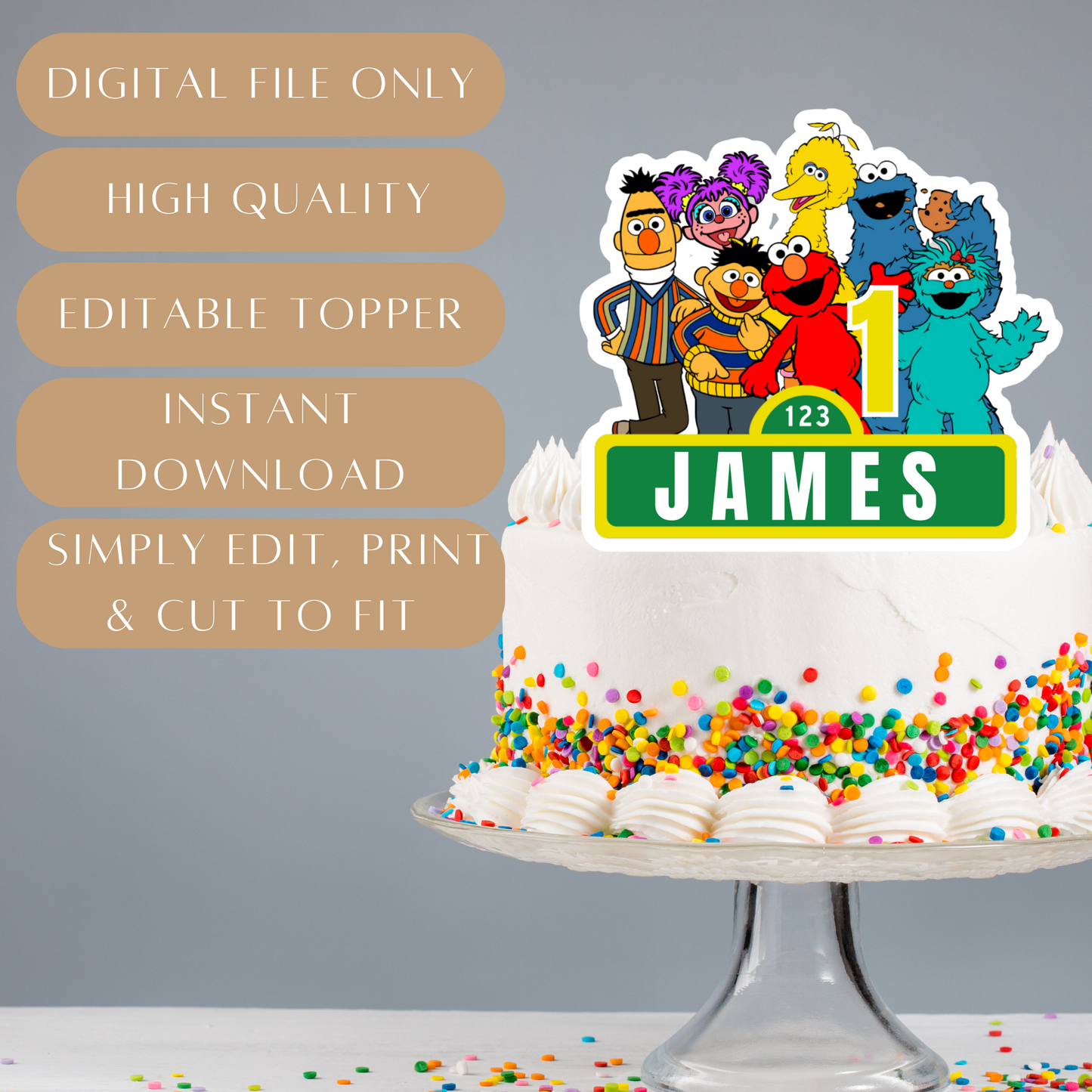 Editable Sesame Street Cake Topper – Digital Download